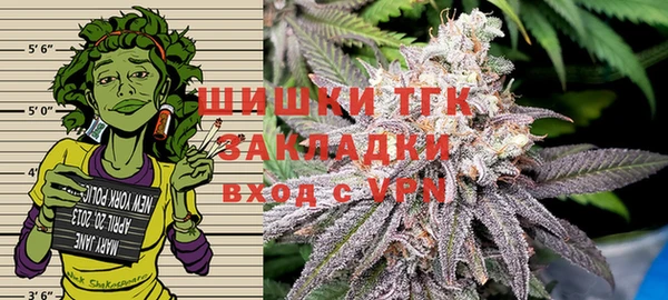 амф Богданович